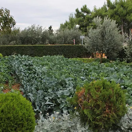 With Parking Space - Mulo, Zadar - 5796 Vrsi