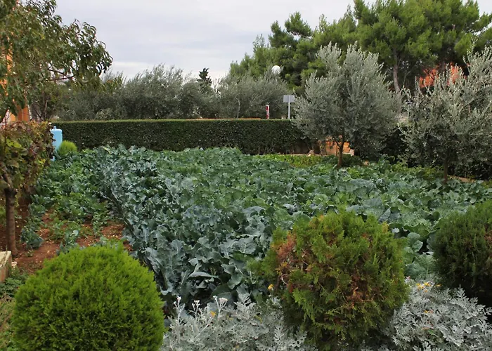 With Parking Space - Mulo, Zadar - 5796 Vrsi